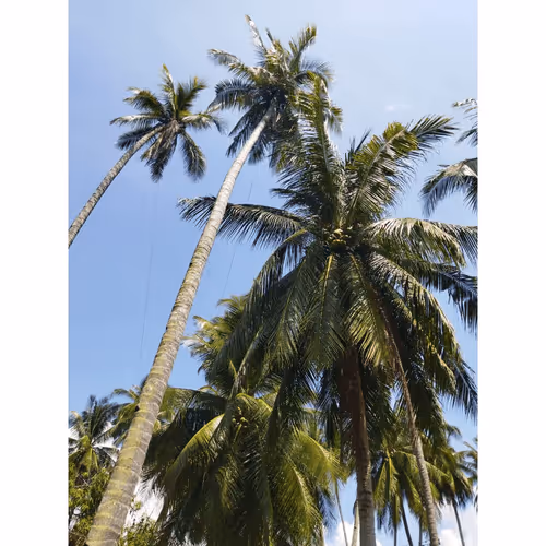 Item #26315463919006413240702995586573937938911851246900991635310397656361989046273 Media