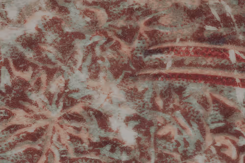 Item #22038897082554510525343258470731156361004216465614041930252992590182162104322 Media