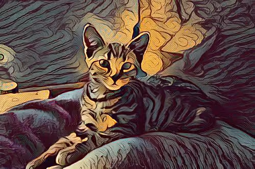METADARKCAT #89