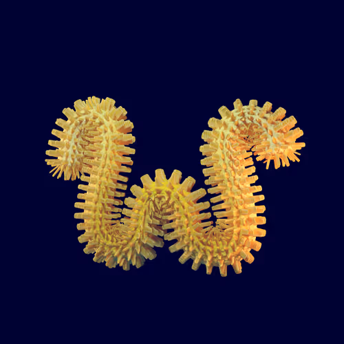 Item #15002700082974149736152409673432405288221825789522235613243600098418013241345 Media