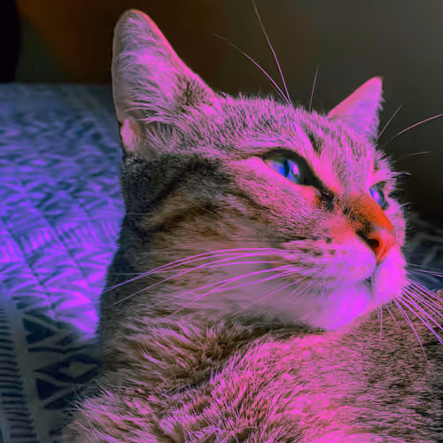 Item #65153916298700067522083748554750574777242795921079823153433125565006945976321 Media