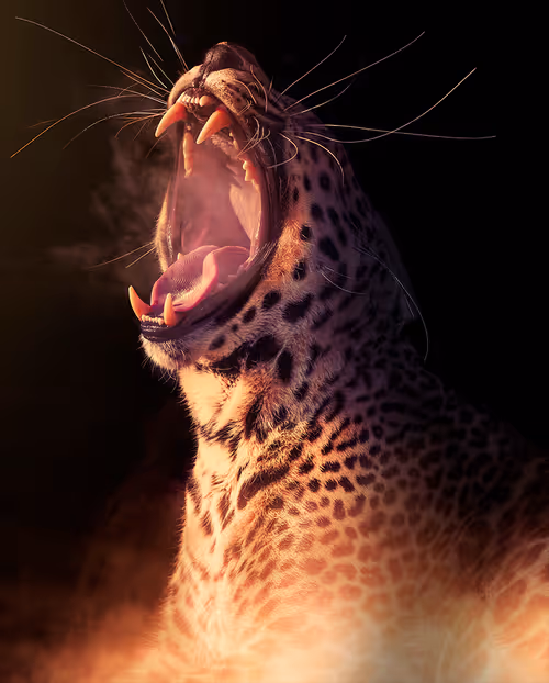 Item #113521178305738834012148518391550550346987699669126125358931063141413169398260 Media