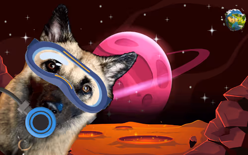 CrazyDog In Space