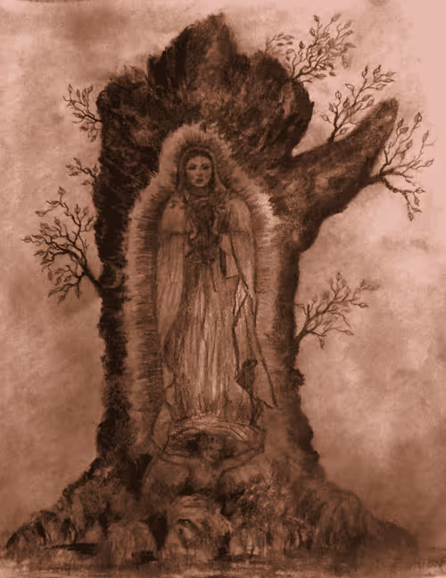 Item #24075104366552856572972473637332503294029883323106621163146837400190810324993 Media