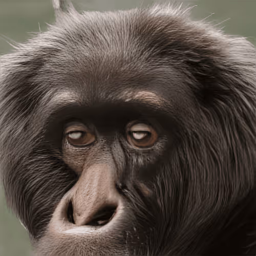 Item #98771142752491223589029056332849600761606894318122094950927074799353136676865 Media