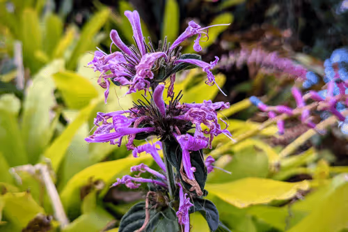 Item #39075669952795110311488058078452160275975432518977374571902800555243112235009 Media