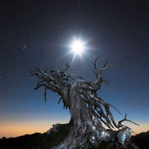 Untitled Collection #30254390