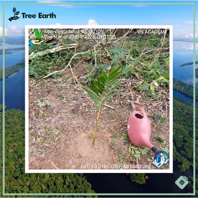 Item #8500196597889277390194123329501889087166328879864934763448349309700453433345 Media