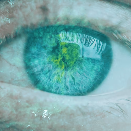 Ocean Eye