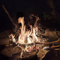 Fire