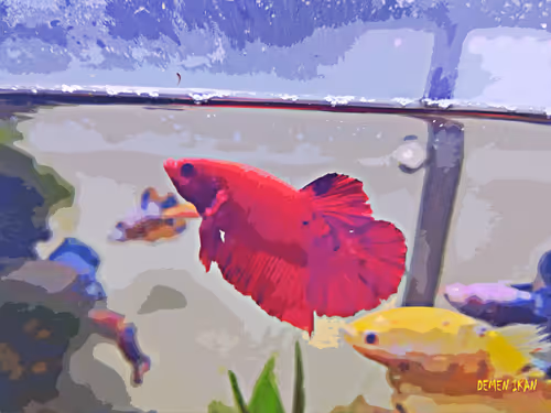 Item #74464285102539120175525880978246253166996374944805974491567127451325635231745 Media