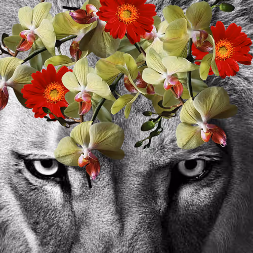 Item #113666913945528807857602539791345801718361321848385456012029093199492876861441 Media