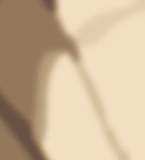 Item #80198388900932359539357183567537029998157098219836163386623981996057252855809 Media