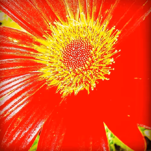 Item #6319528205725192402137538471635698670390567315574369707282574013015124869121 Media