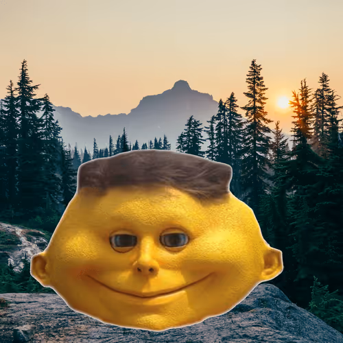 Lemon Head