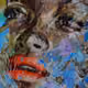 76127624055865114871708395051046099480041445680474650165627957311961542164481