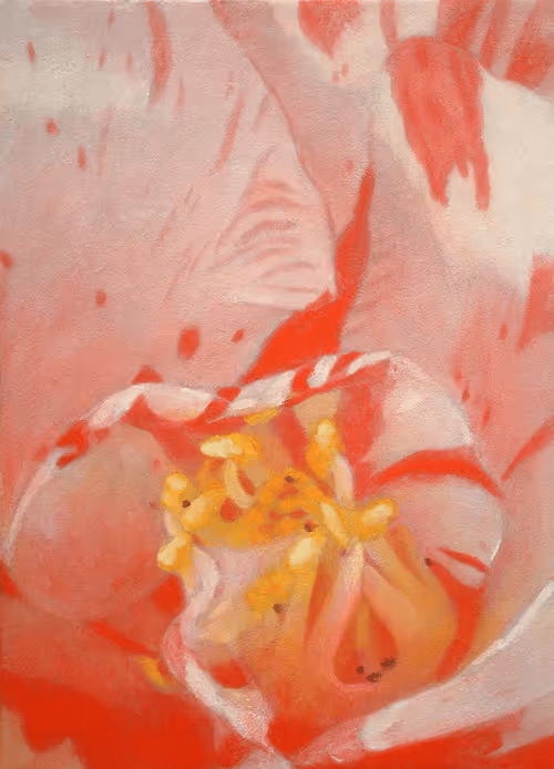 Item #72925079646173943955019179802066495558357068765344184678483369523192925257738 Media