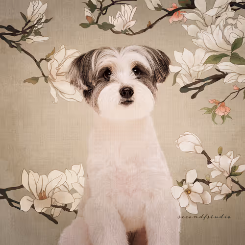 Item #8036610274517614856282005705215780499318604713549687172679363558848088506371 Media