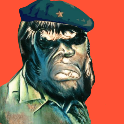 Item #107168561226723682643010894622917403817056242387421254594899051049751878304744 Media