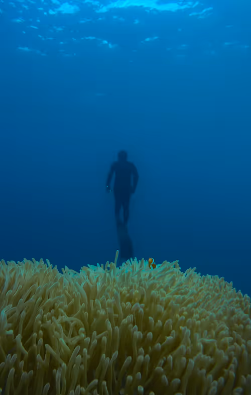 Item #77639041975894886609071233097545712090510044969555444171952761927796841775105 Media