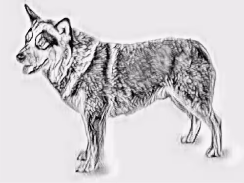 Item #23143313246472061328071561115701105421589606567298838424350448145639034322945 Media