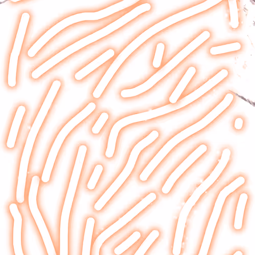 Untitled Collection #131355258