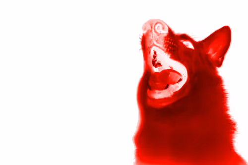 Item #97472780855113725442361506406406632137290984226550429674679319487967678955521 Media