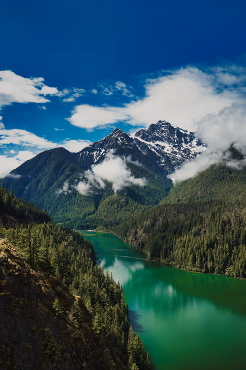 Item #37500018886324651166210288034401330052092481048438258584651800273603801382913 Media