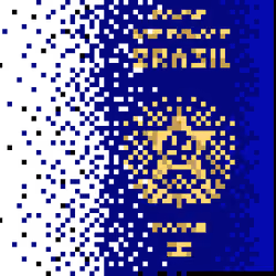 Digital Passport - Brazil