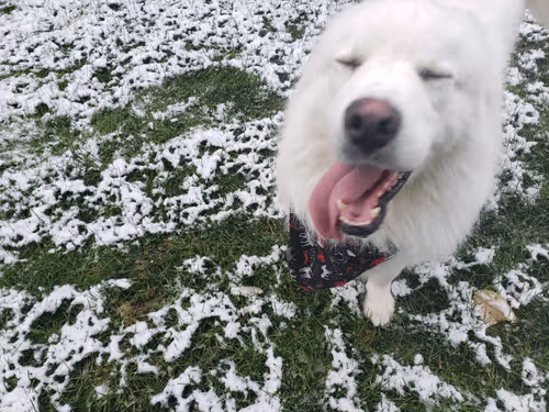 Item #103020862567535420240418147599059965536628872288157025643213102588972721242113 Media