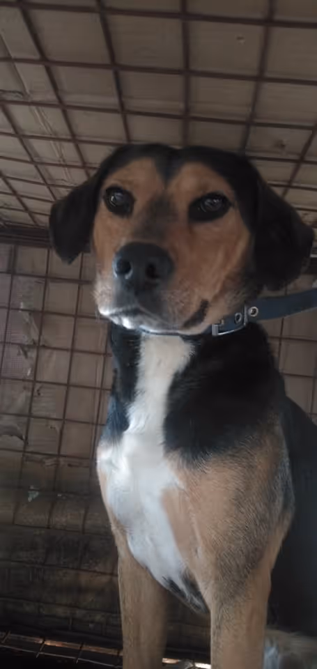 Item #23439807421783349604606688817165201350165750151979961366033252222705176936449 Media