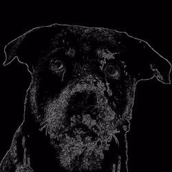 20263366600750275083551787550457323161745504762773807667868667820615877526504