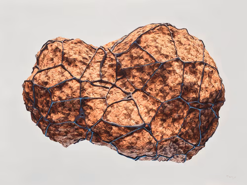 Item #27368314961787649064221585856198725372967139003119485785305163661306346078213 Media