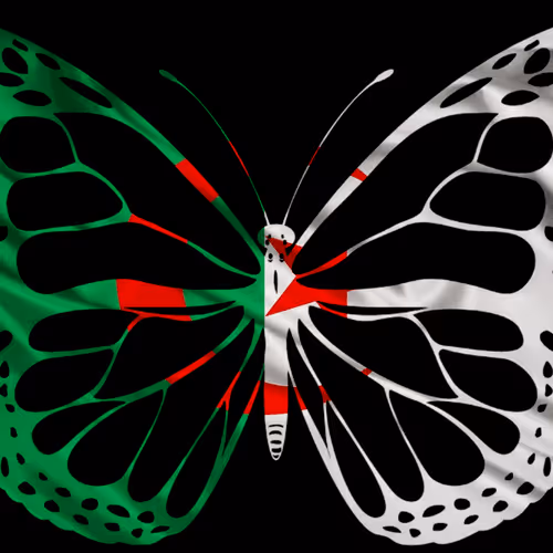 Item #63573235815106314393581959573917387188493038180489259694476917033144099536897 Media