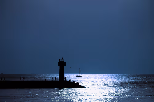 Item #94594472800492689210511791646247881716921421318605375343824232231816478588929 Media