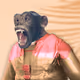 31911339777357854036020653073866526525373895496835754151167692620756636663809