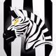 111442681348640983893437494765199145797638707614225623742741114008167423934465