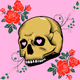 nameless-skull Collection - old
