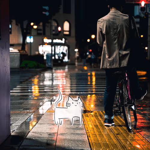 Cat #3