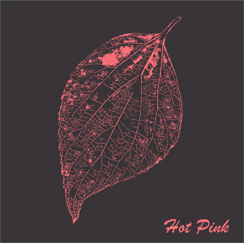 Item #40167138637940562108431742001123872206105593199433866487640627835167790071809 Media