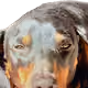 74388183107571848256633446996010033662379072698002169646249461050955853201409