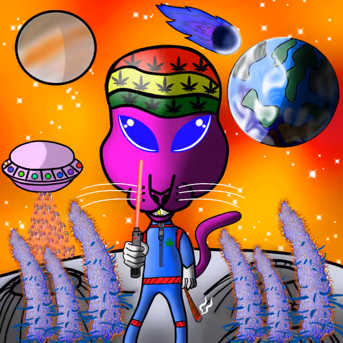 space cat # 100
