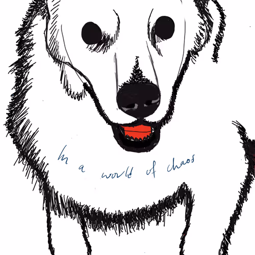 Untitled Collection #50868214