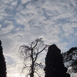 Nature Pixart #9