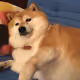 105546644398233769233225642200944109637345897844527912737559028060341678374947