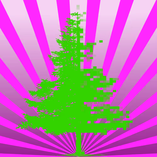 Item #51684206879132971117287575805148041327006568930595361555171380748033846149121 Media