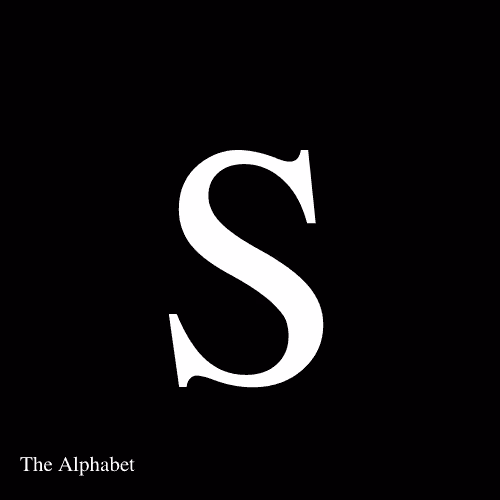 Item #15667918565991512040027370799027687282016869594247132407079641291484242640906 Media