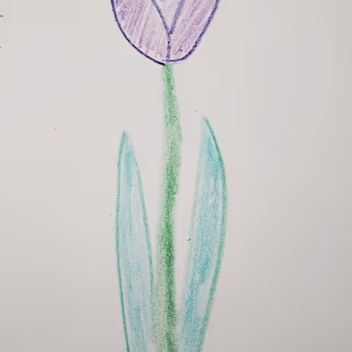 92060496778179765583685119579728199768113101913008289433487704763815394541569