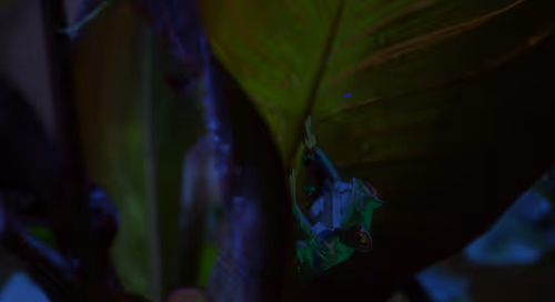 Item #41423174657448755454775180770704774351895892577704630438802697562166600400897 Media