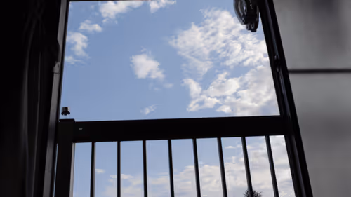 Item #46203775422947331303503035682945161977556730283234746633468375129670075547748 Media